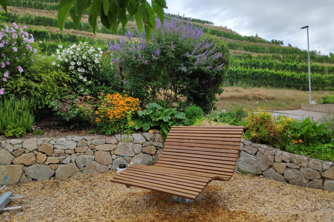 Weingut & Strausswirtschaft Vogel Daire Vogtsburg Dış mekan fotoğraf