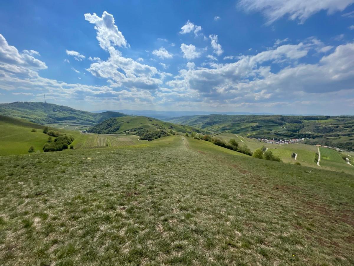 Weingut & Strausswirtschaft Vogel Daire Vogtsburg Dış mekan fotoğraf