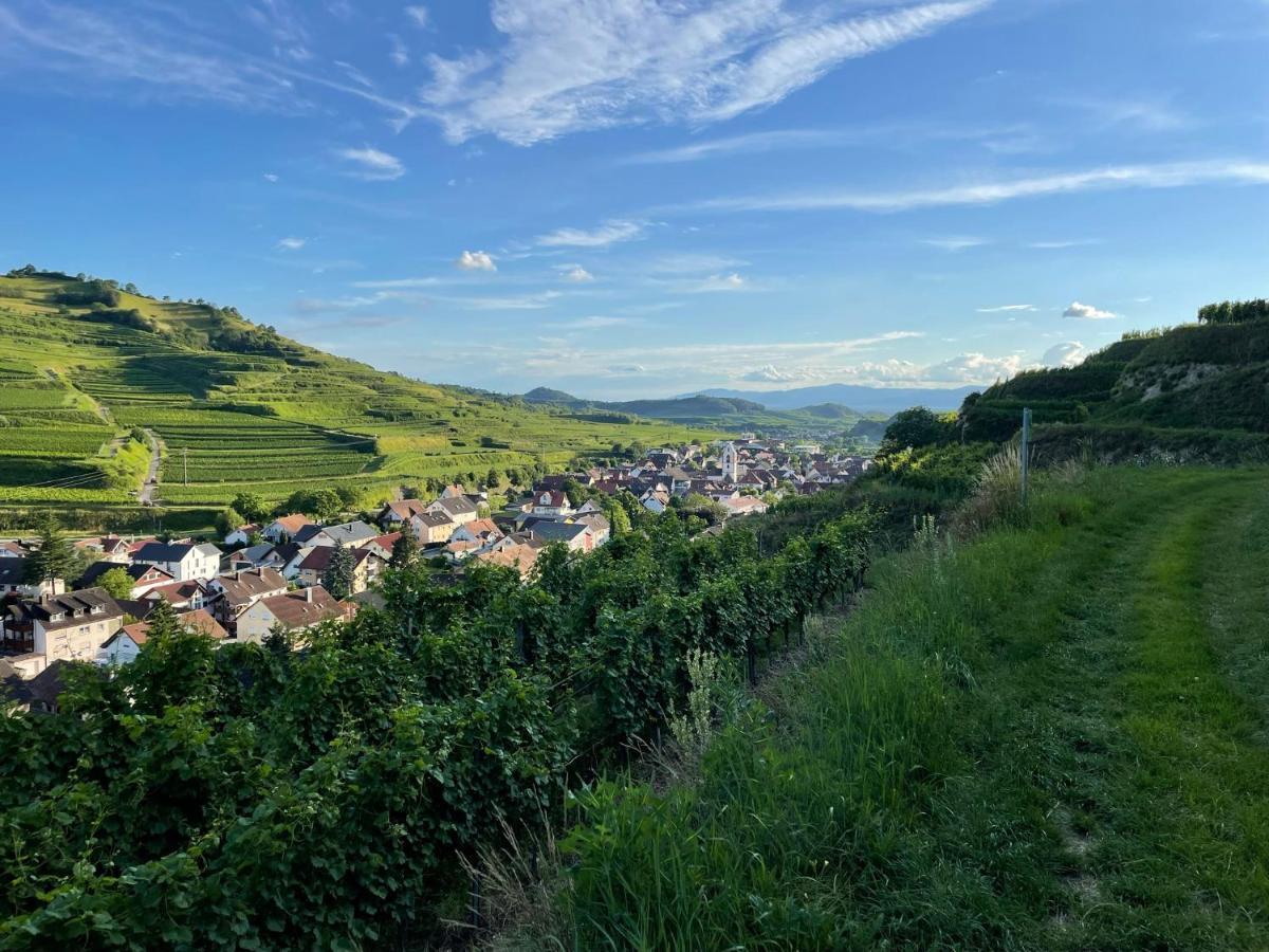 Weingut & Strausswirtschaft Vogel Daire Vogtsburg Dış mekan fotoğraf
