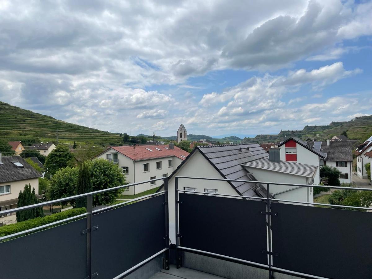 Weingut & Strausswirtschaft Vogel Daire Vogtsburg Dış mekan fotoğraf