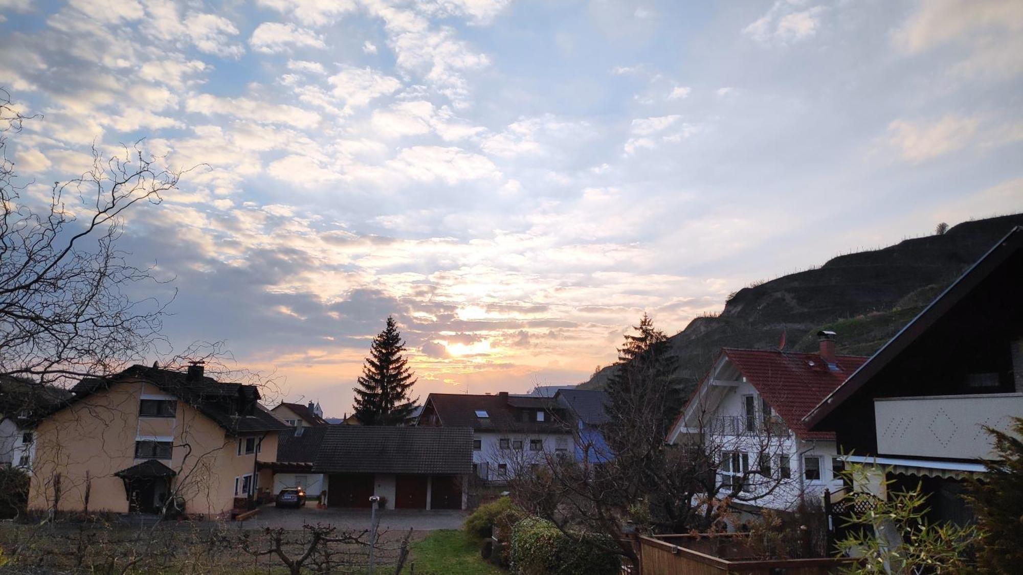 Weingut & Strausswirtschaft Vogel Daire Vogtsburg Dış mekan fotoğraf
