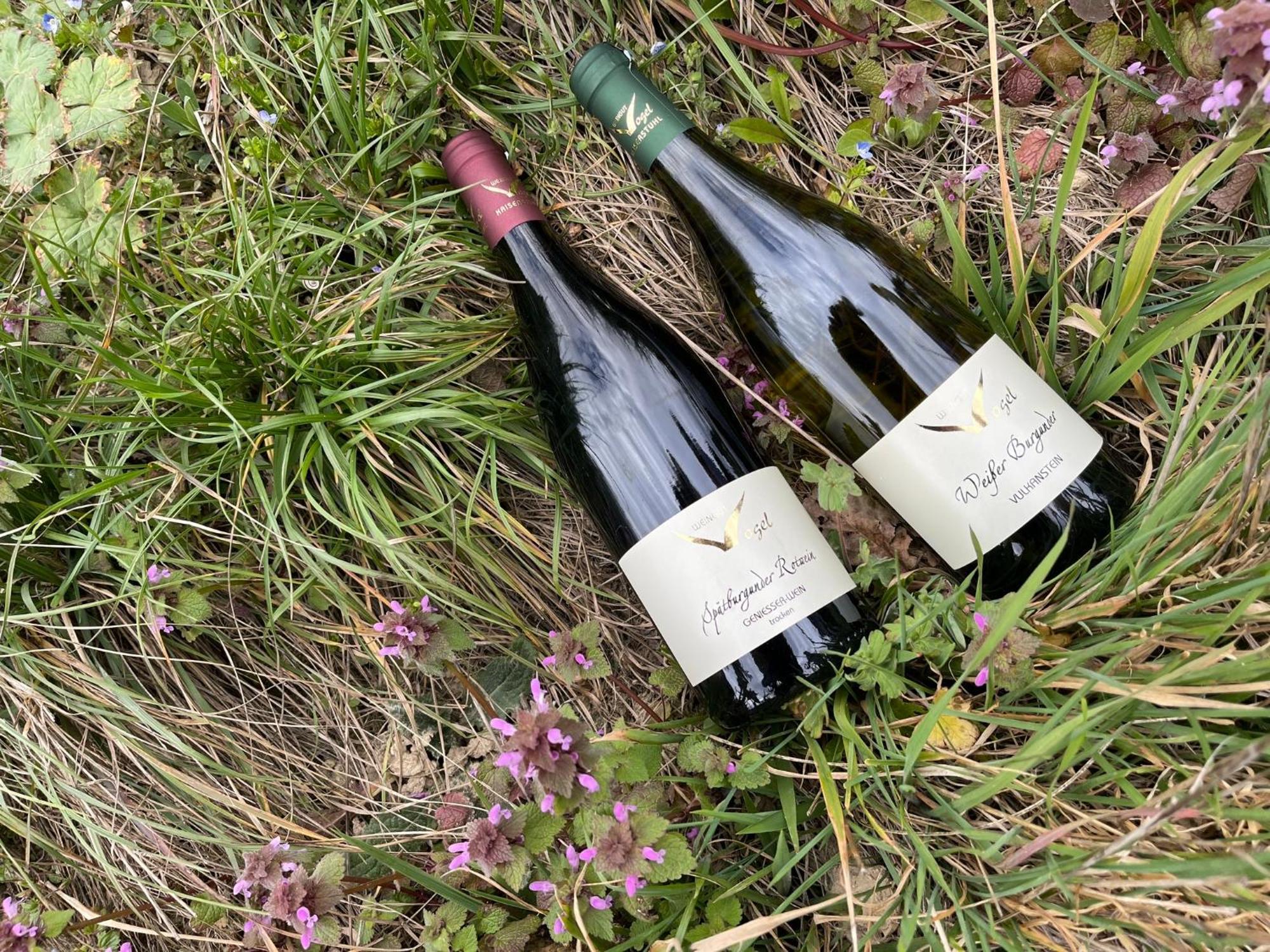Weingut & Strausswirtschaft Vogel Daire Vogtsburg Dış mekan fotoğraf