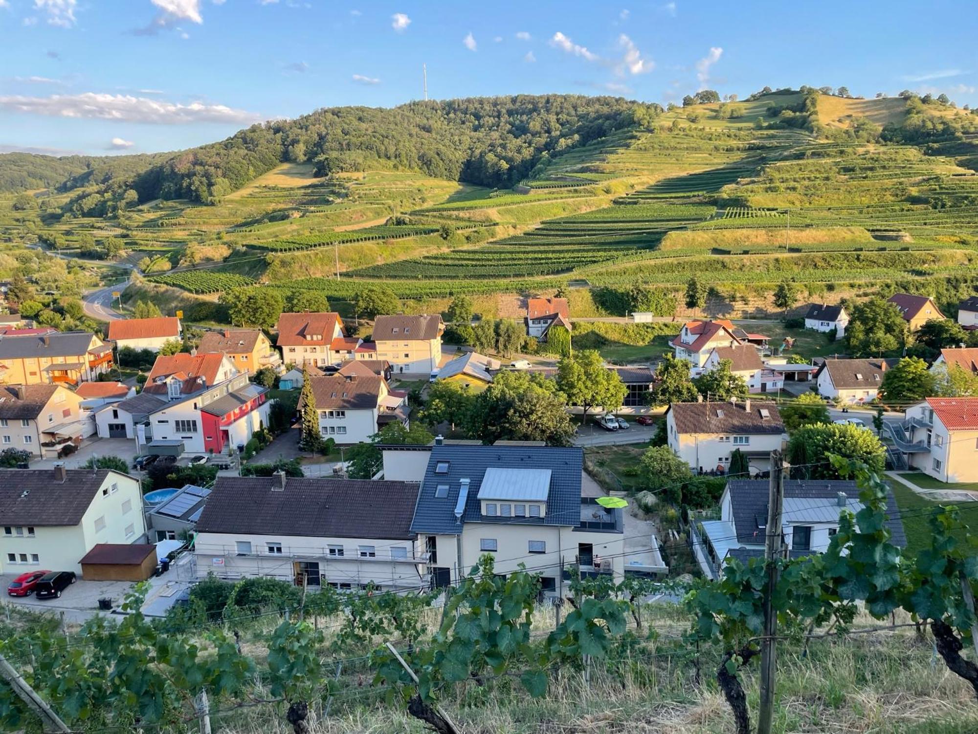 Weingut & Strausswirtschaft Vogel Daire Vogtsburg Dış mekan fotoğraf
